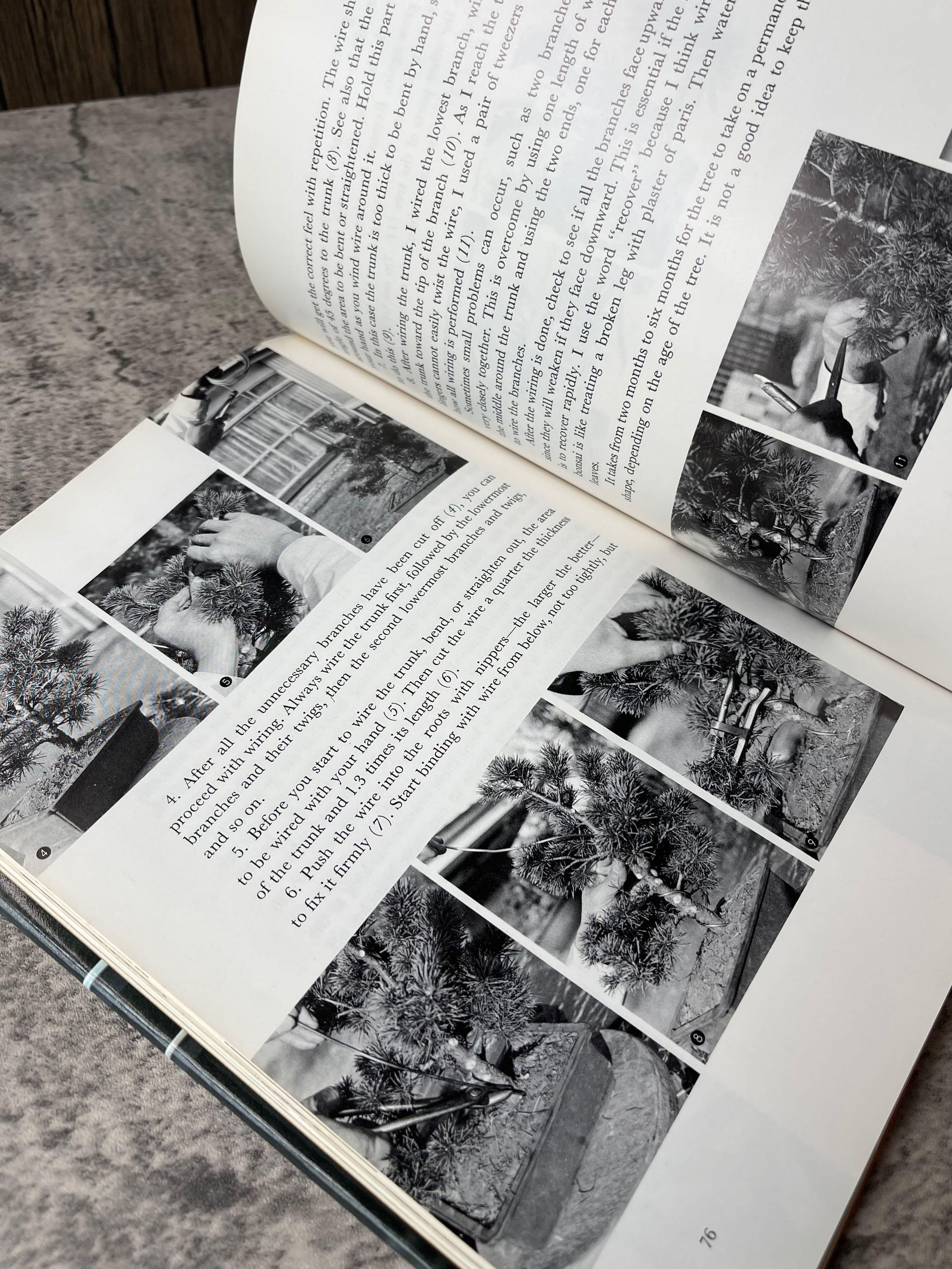 Bonsai with American Trees / First Edition, First Print / 1975 - Precious Cache