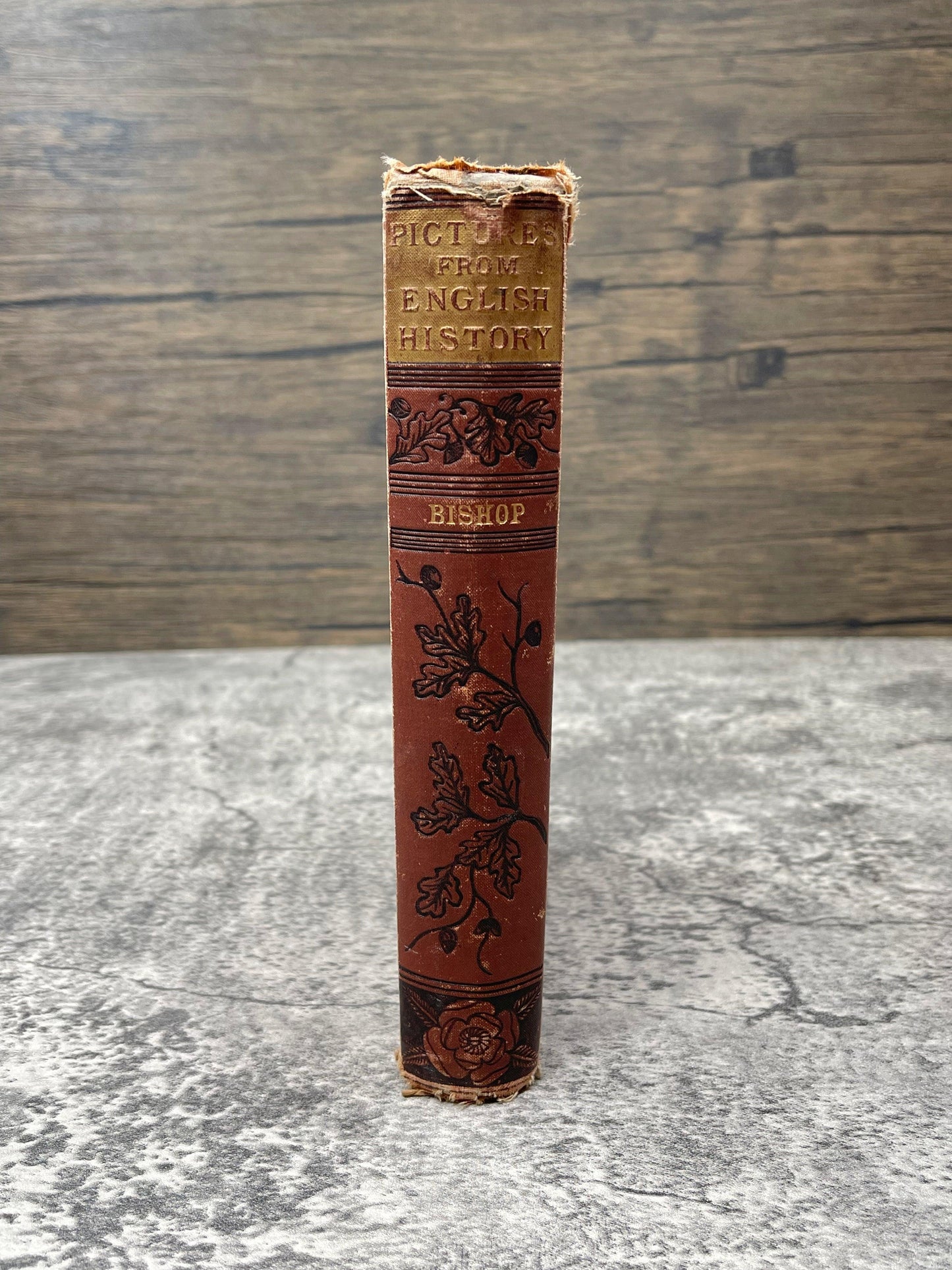 Pictures from English History / 1883 - Precious Cache