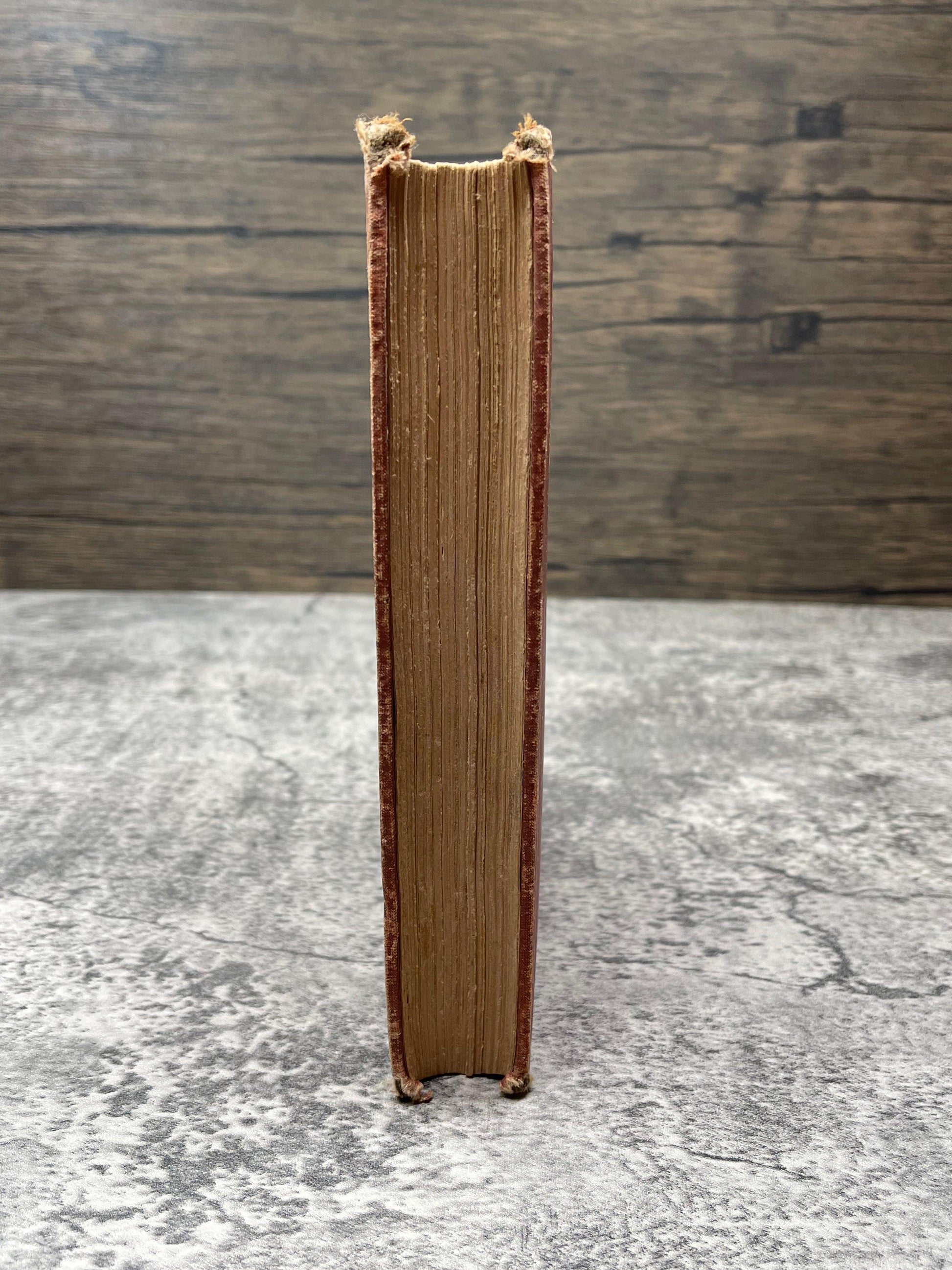 Pictures from English History / 1883 - Precious Cache